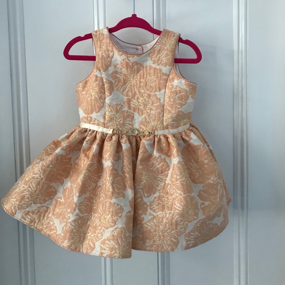 Pippa & Julie 12M party dress